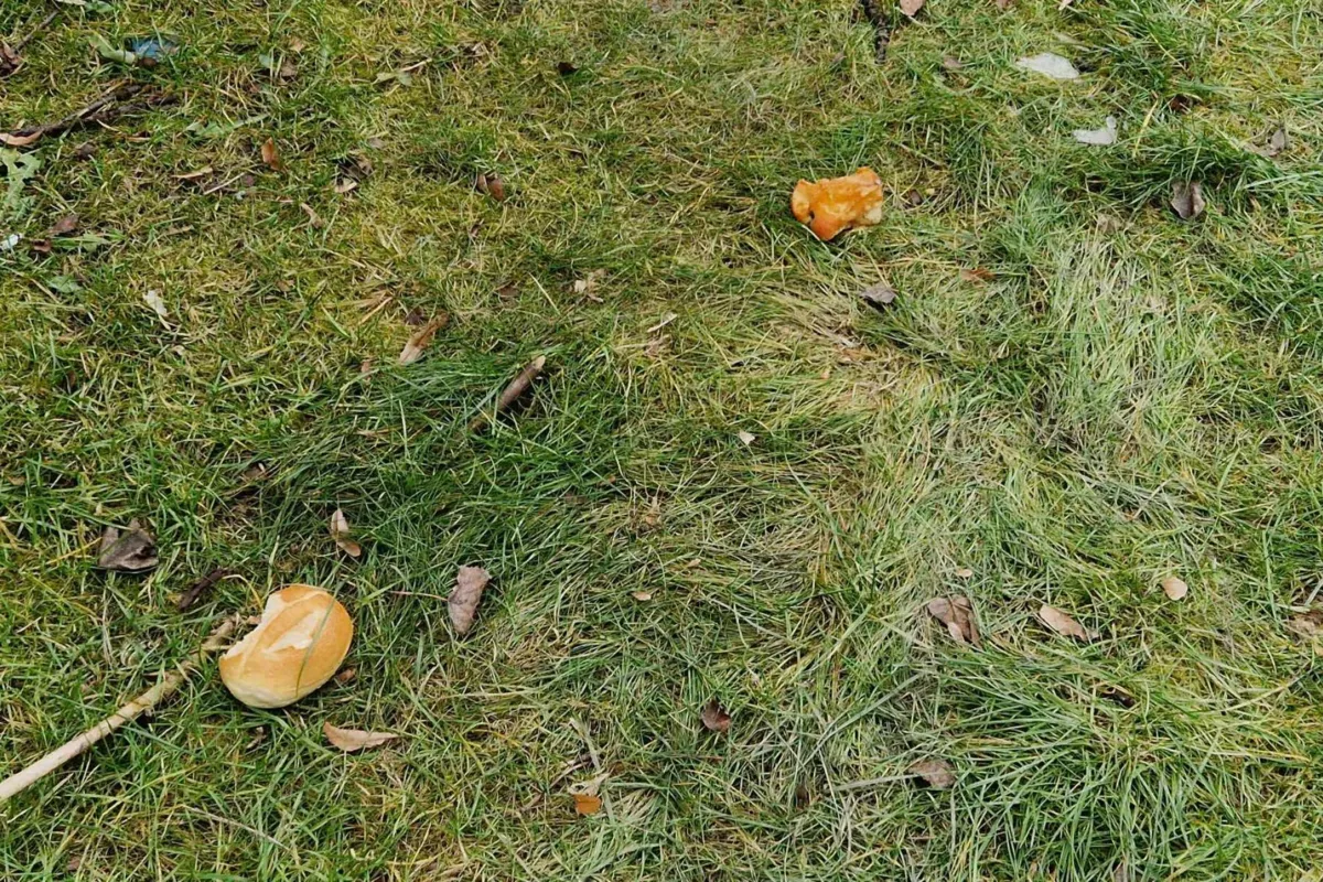 Skargi i apele nie pomagają. Resztki jedzenia wciąż zaśmiecają nowohuckie trawniki i chodniki