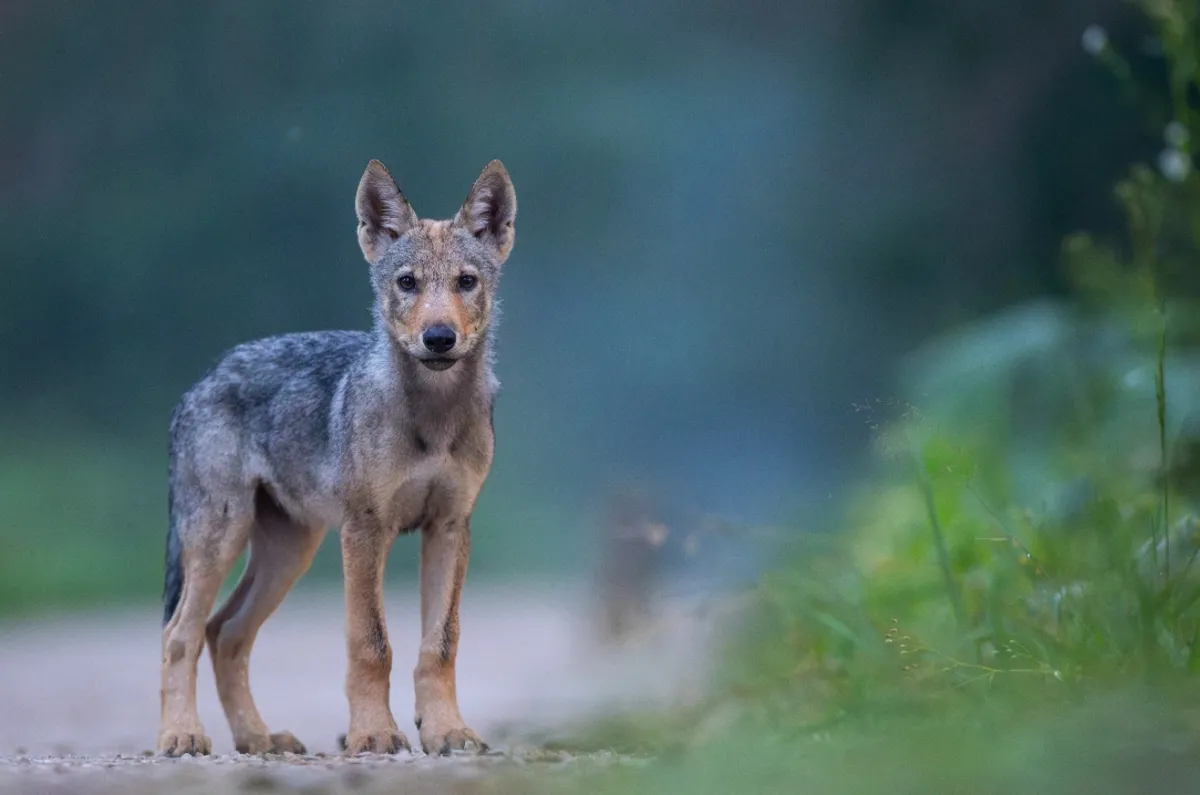 BARWY ŚWIATA PRZYRODY 2025 - wernisaż wystawy Związku Polskich Fotografów Przyrody