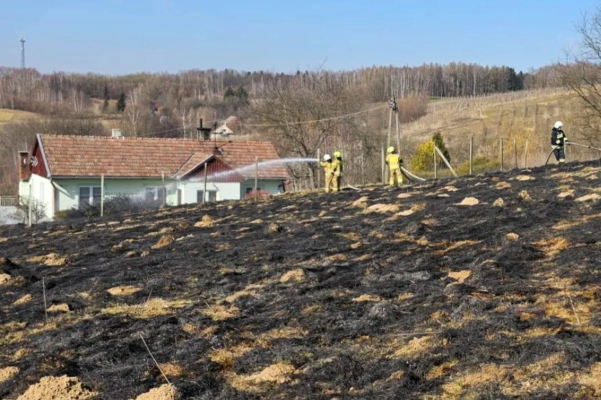 Rekordowo dużo pożarów traw. Toksyny unoszące się w dymie zanieczyszczają powietrze, wodę i glebę