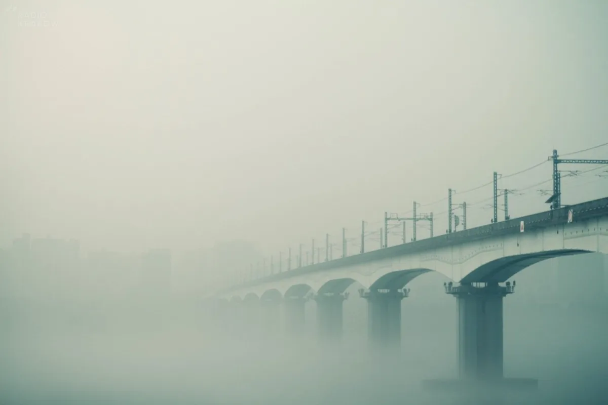 IMGW ostrzega przed gęstą mgłą. Widoczność ograniczona do 200 metrów