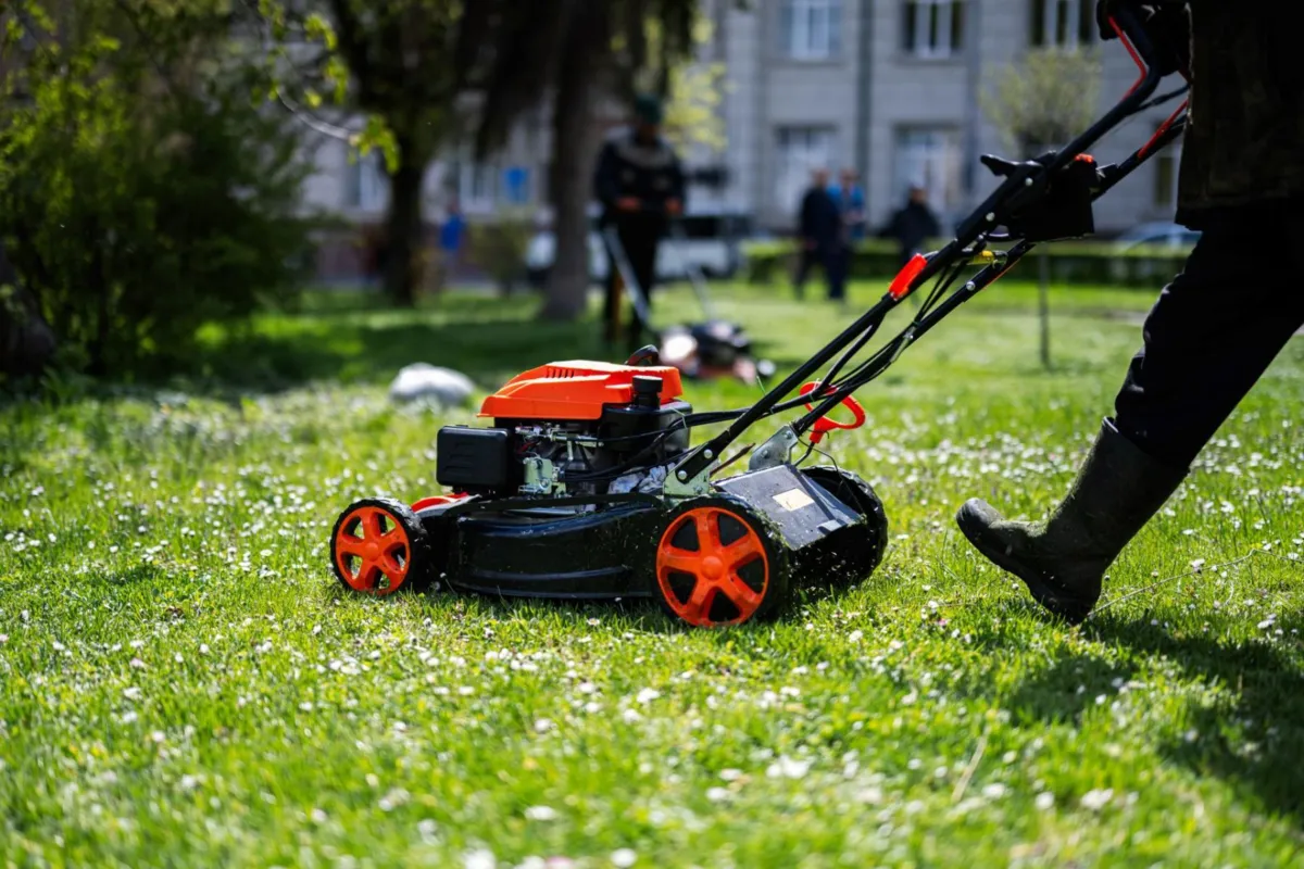 Nowoczesne kosiarki spalinowe – ciche, ekonomiczne, skuteczne