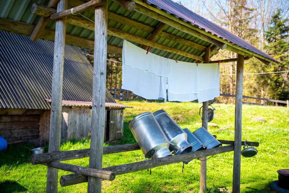 Oscypek i bundz wcale nie muszą skrzypieć w zębach. Tak to robią w bacówce