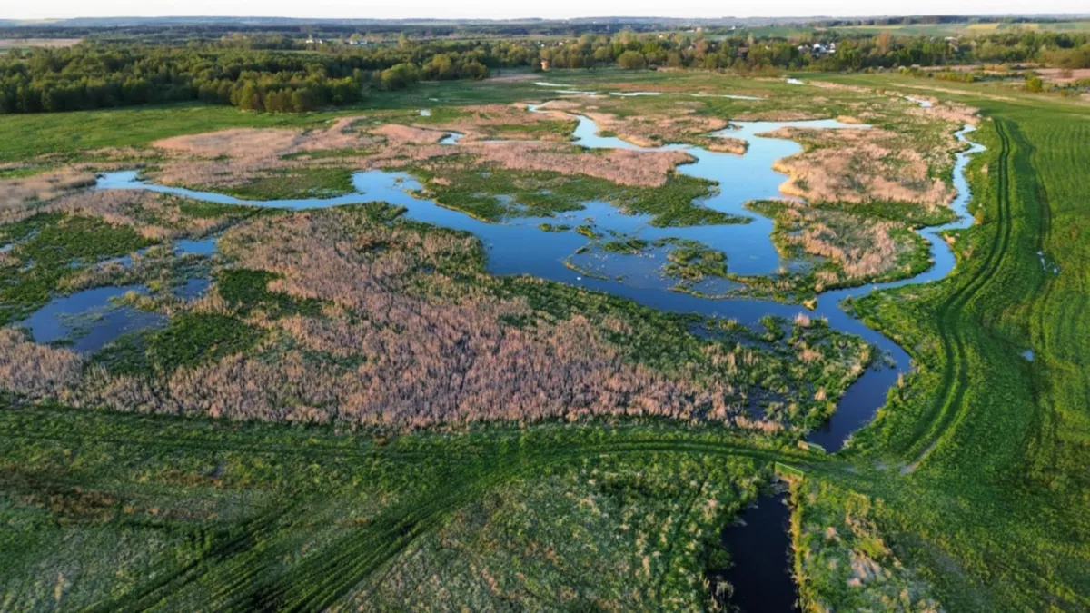 Ta rzeka została zdewastowana melioracjami. Krakowscy naukowcy chcą przywrócić jej naturalny stan