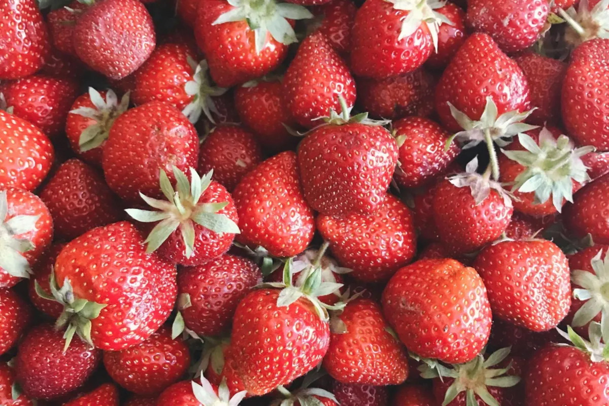 Krajowe truskawki już w sprzedaży, ale są drogie