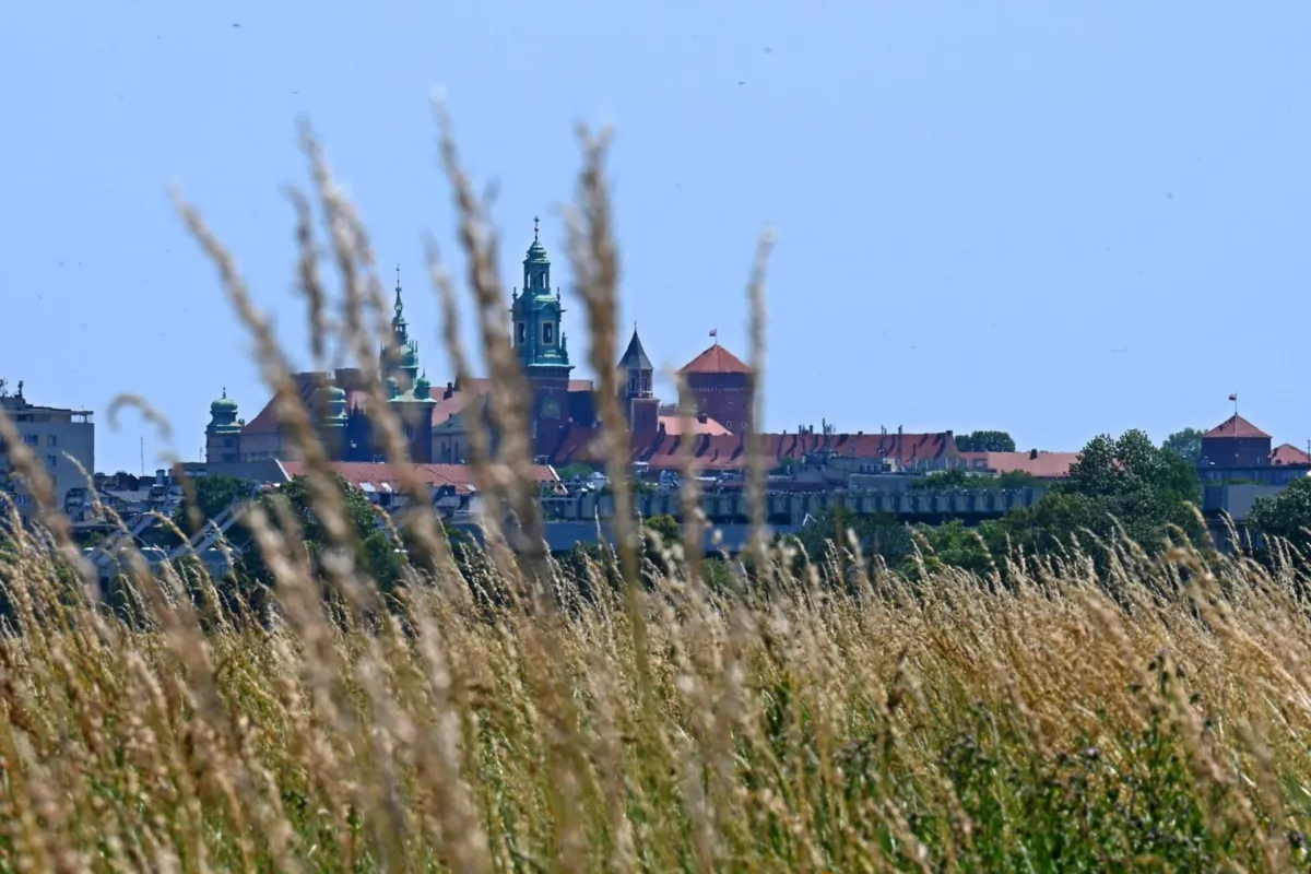 Za chwilę sianokosy. A tymczasem...