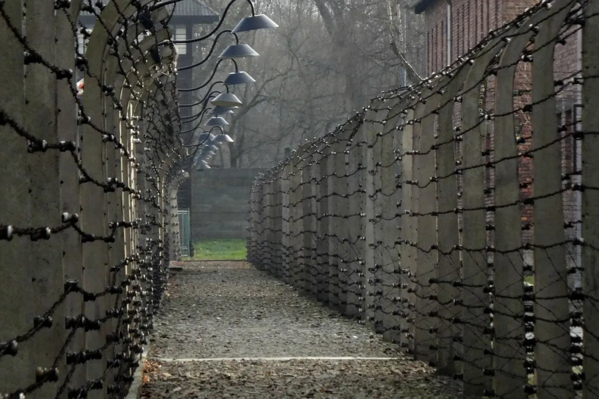 Skandaliczne słowa Grzegorza Brauna. Jest reakcja dyrektora Muzeum Auschwitz i zawiadomienie do prokuratury