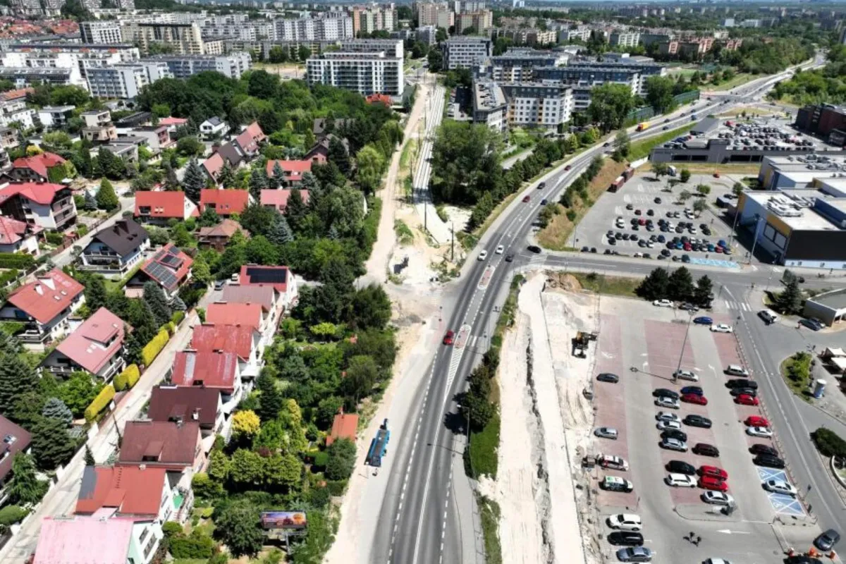 Wycięli drzewa, posadzą drzewa. Jakie gatunki będą rosnąć wzdłuż linii tramwajowej do Mistrzejowic?