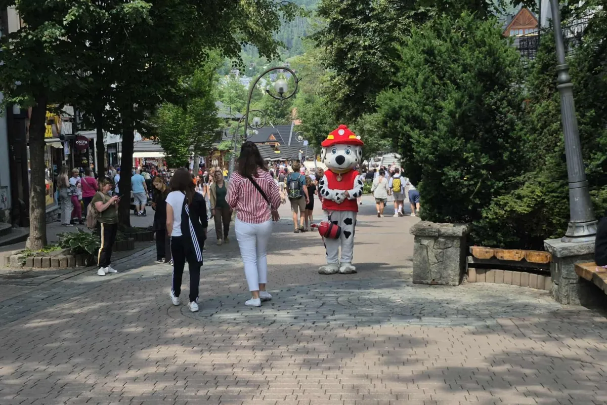 Biały Miś w nowym wcieleniu. Zakopane walczy z nielegalnymi maskotkami