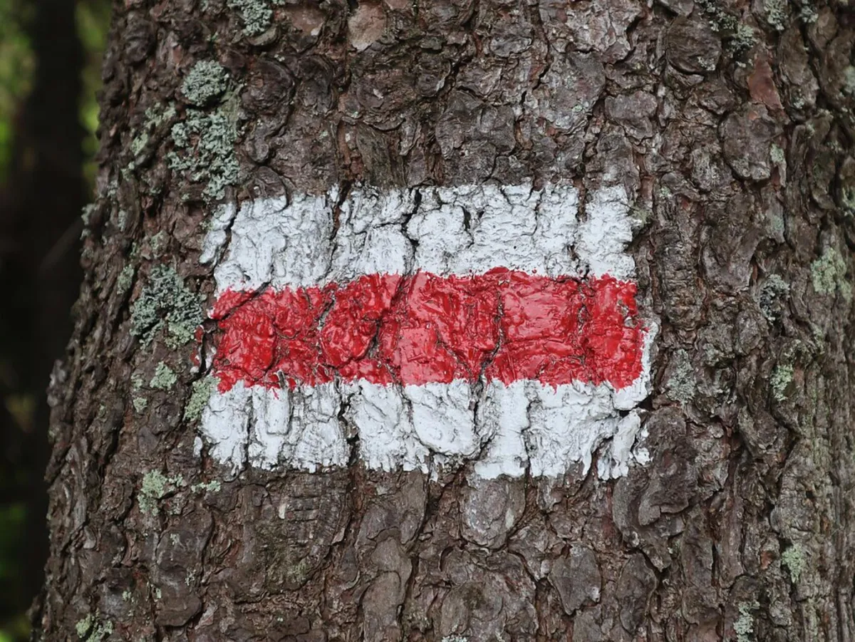 Do połowy września na szlakach Sądecczyzny będzie można spotkać znakarzy