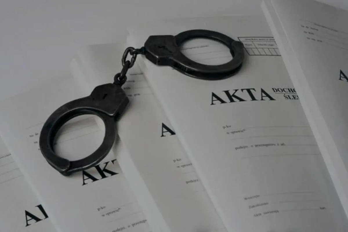 Areszt dla 24-latka, który usiłował zabić matkę i jej partnera