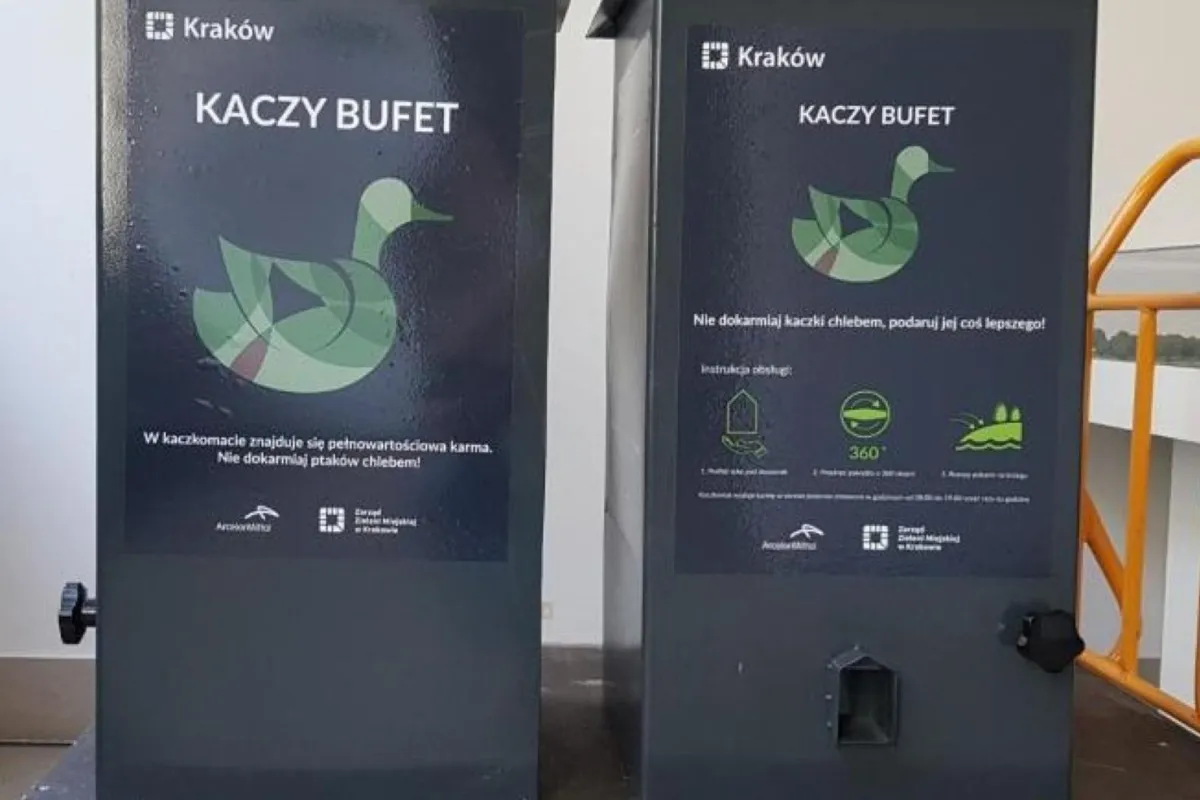 Bezpłatna karma dla kaczek ponownie dostępna w Krakowie. ZZM uruchomił „kaczkomaty”