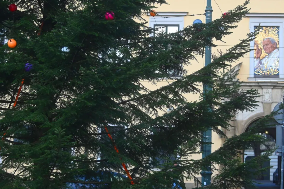 Choinka przed oknem papieskim w Krakowie rozbłyśnie w tym roku później niż zwykle