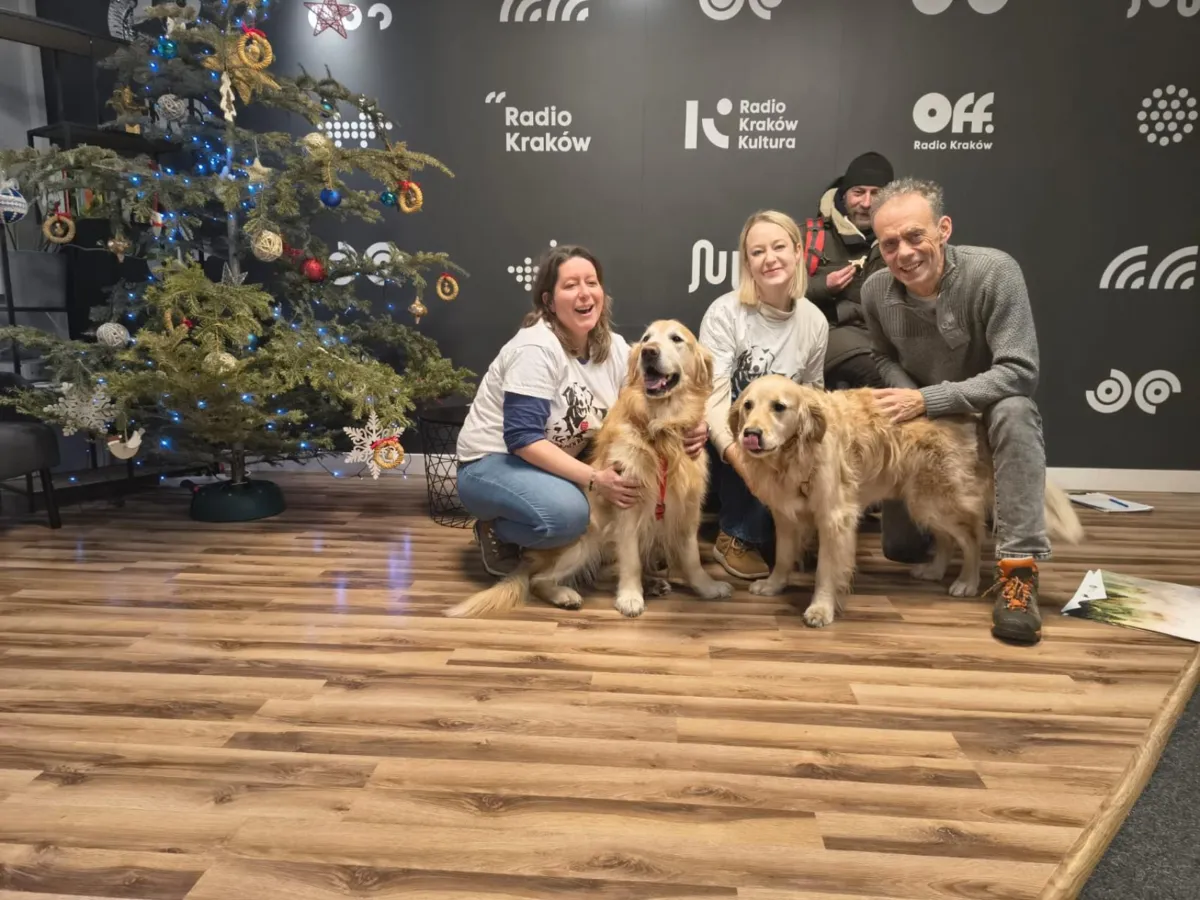 Psie uśmiechy, czyli nie tylko goldeny