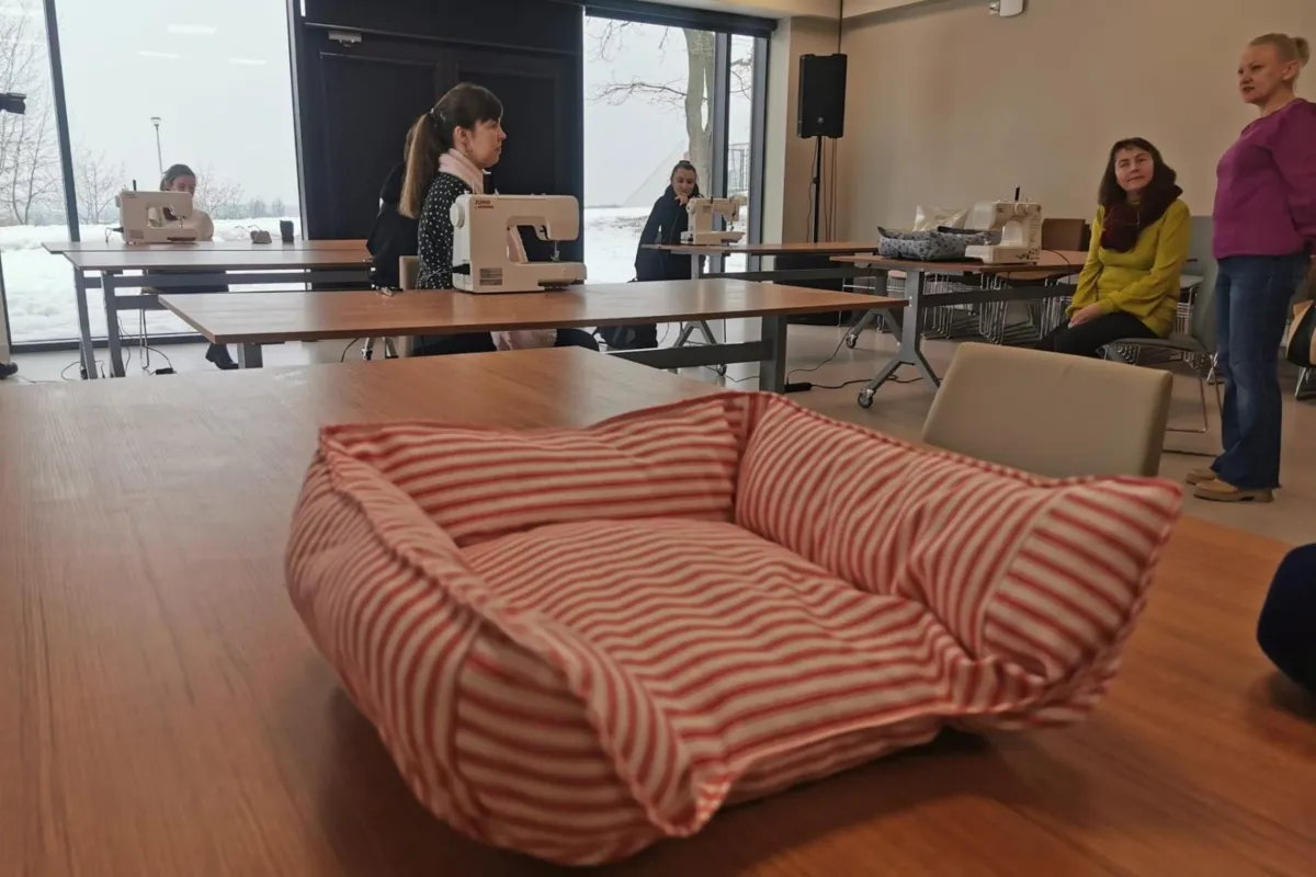 Ciepłe legowiska z recyklingu. Tarnowianie pomagają zwierzakom z azylu