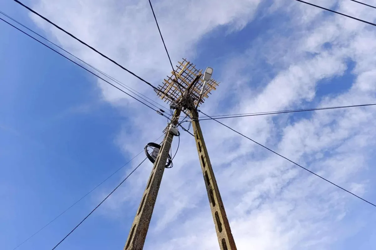 Czy bociany przylecą w tym roku? Sprawa bocianego gniazda zaniepokoiła mieszkańców