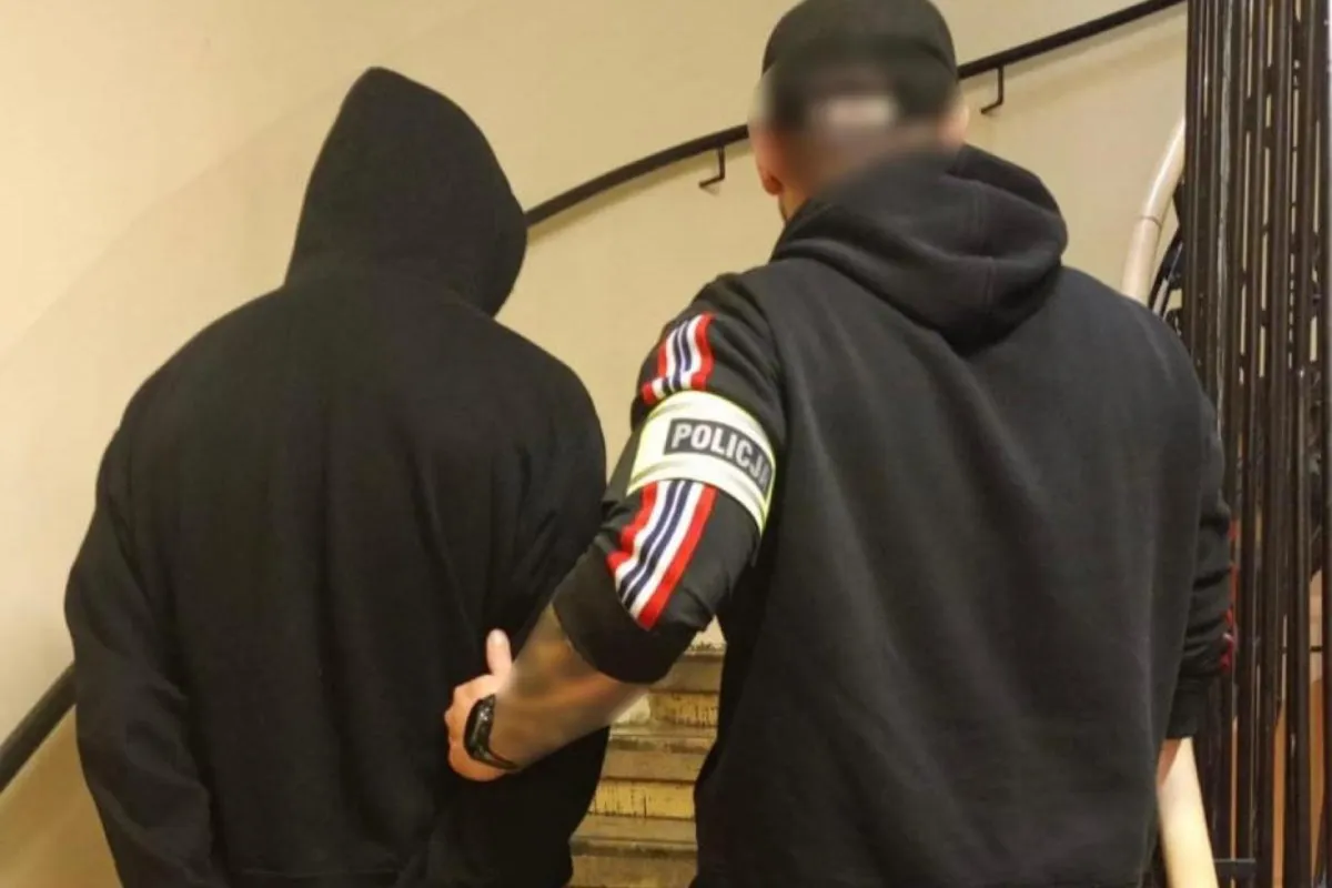 Obciął mu uszy i porzucił w parku. 21-latek z zarzutami za maltretowanie królika