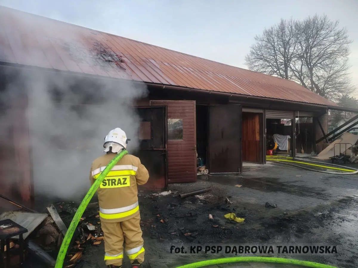 Pracowita niedziela tarnowskich strażaków:  od wycieku paliwa po ratowanie dzikiej przyrody