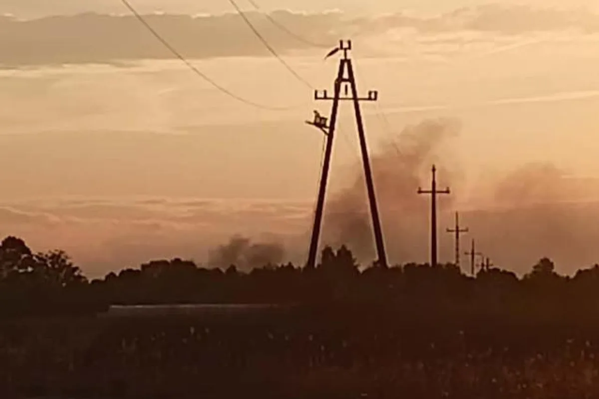 Pożar trzciny w Przeciszowie. Jeden ze strażaków zatruł się dymem