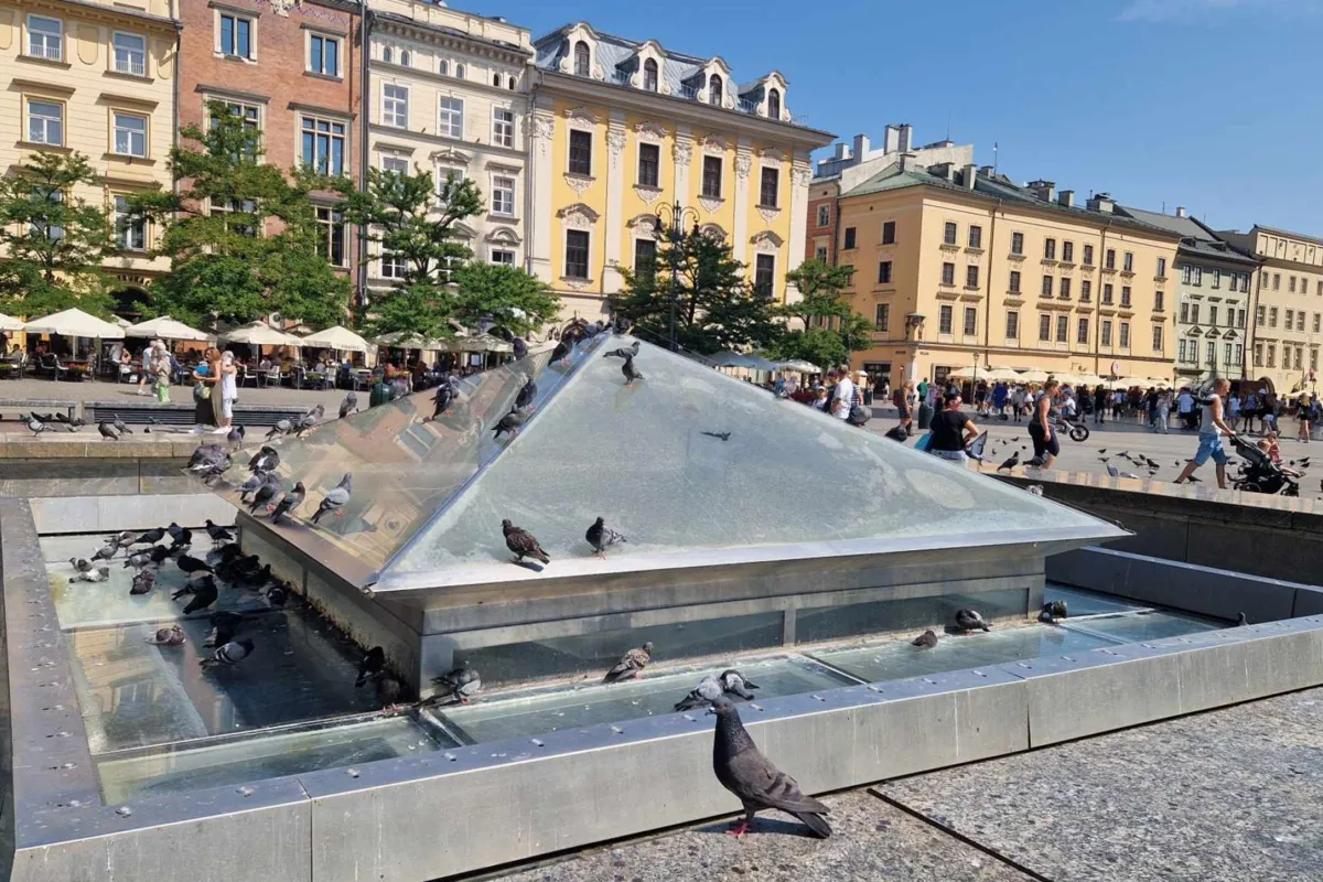 Jaka będzie nowa fontanna na Rynku Głównym? Do konkursu zgłoszono 28 prac