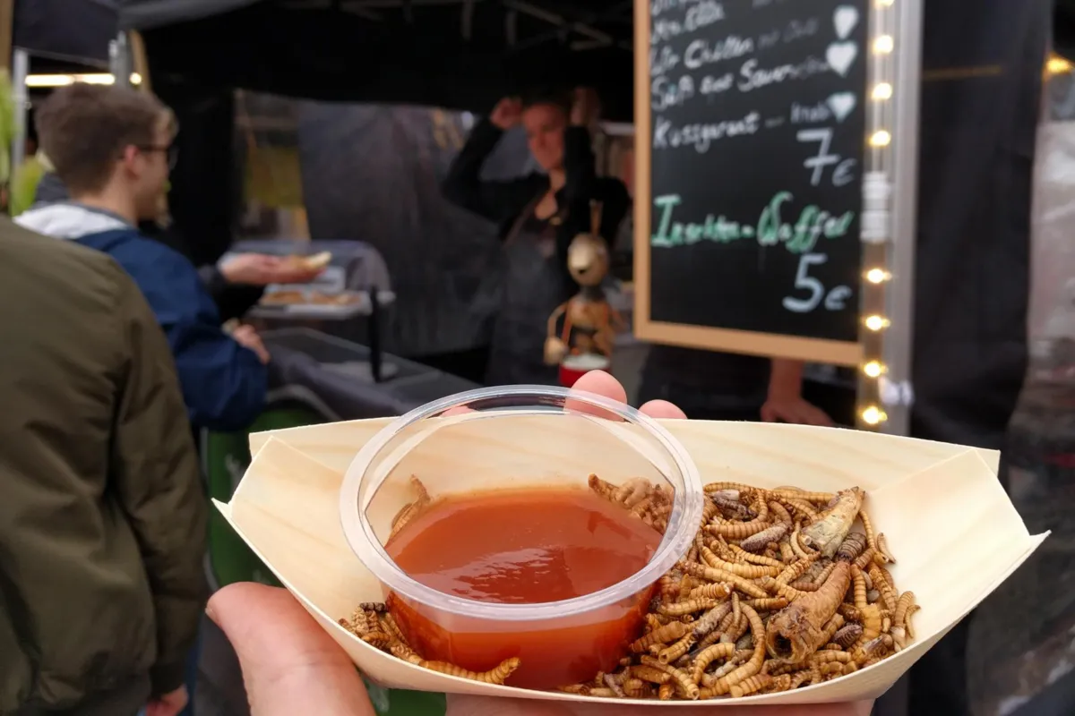Novel Food - żywność pod kontrolą
