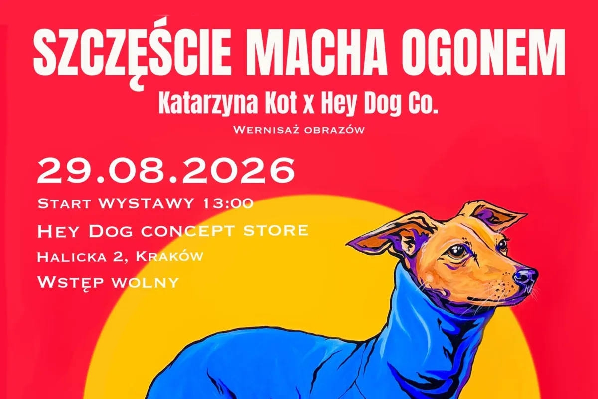 „Szczęście macha ogonem”, sztuka, psy i pomaganie.