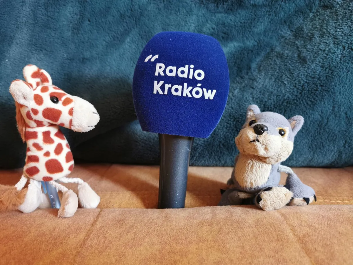 Żyrafa i szakal znów w akcji. O ocenianiu siebie i innych