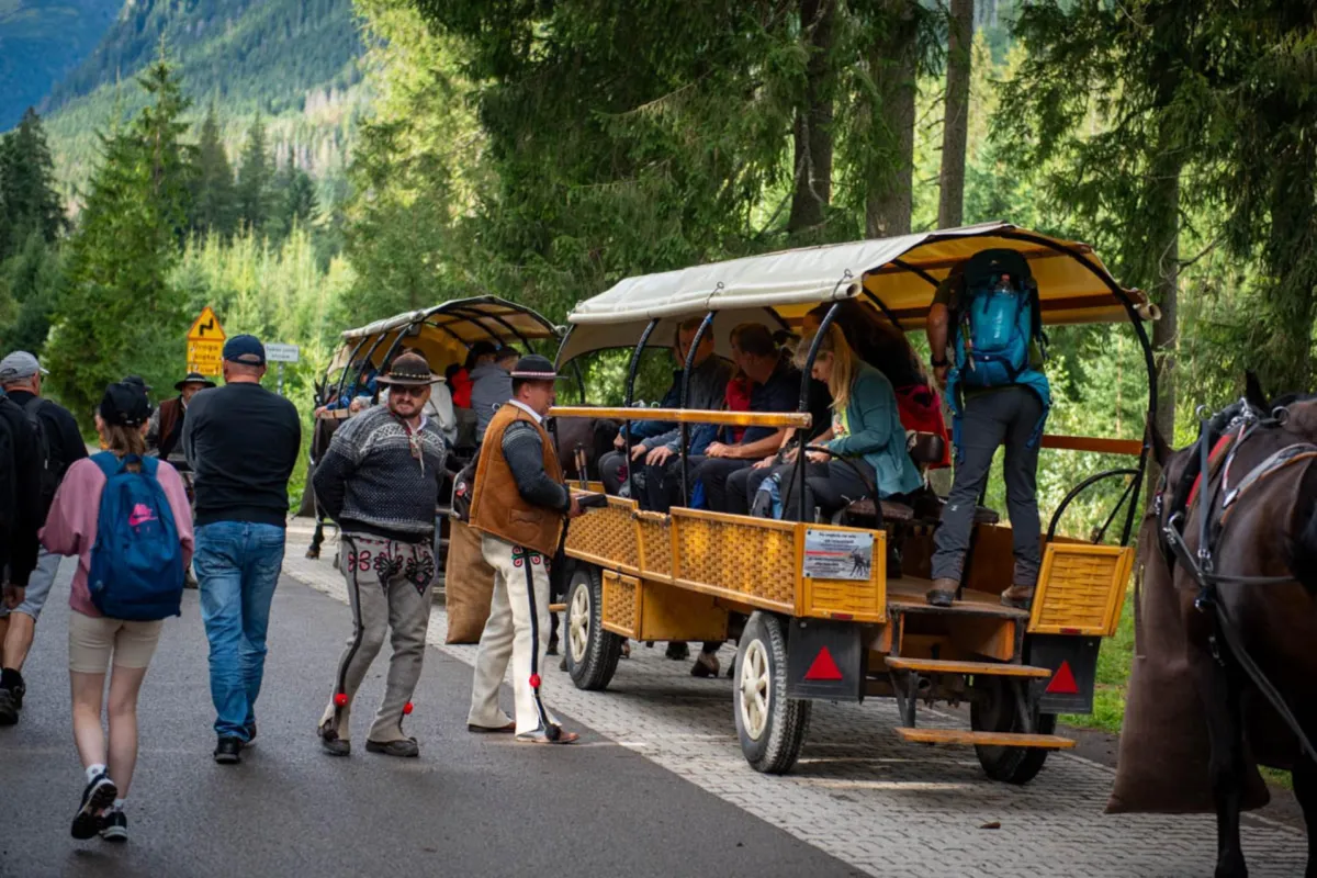 Hodowcy popierają transport konny do Morskiego Oka. Piszą o tradycji Podhala