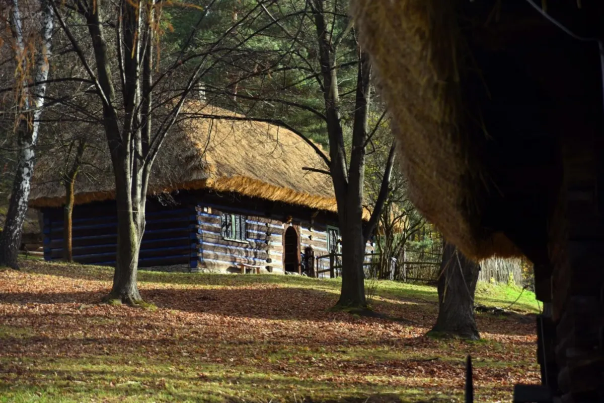 Krakowskie wesele w skansenie. Odpust Pod Czerwoną Jarzębiną w Wygiełzłowie