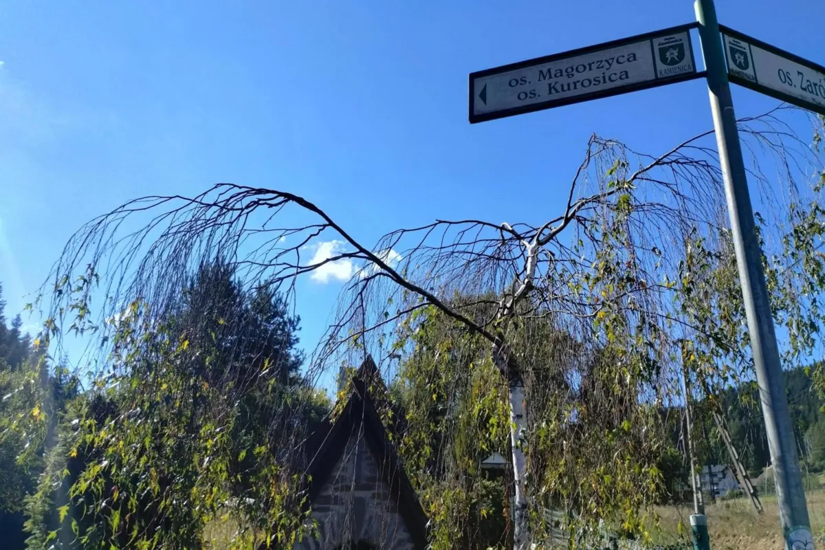 Jedno osiedle, dwie petycje. Mieszkańcy Magorzycy spierają się, do której gminy chcą należeć