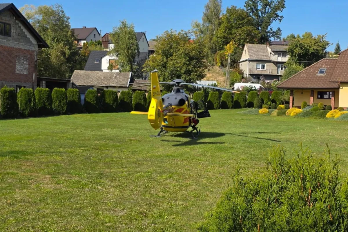 wypadek