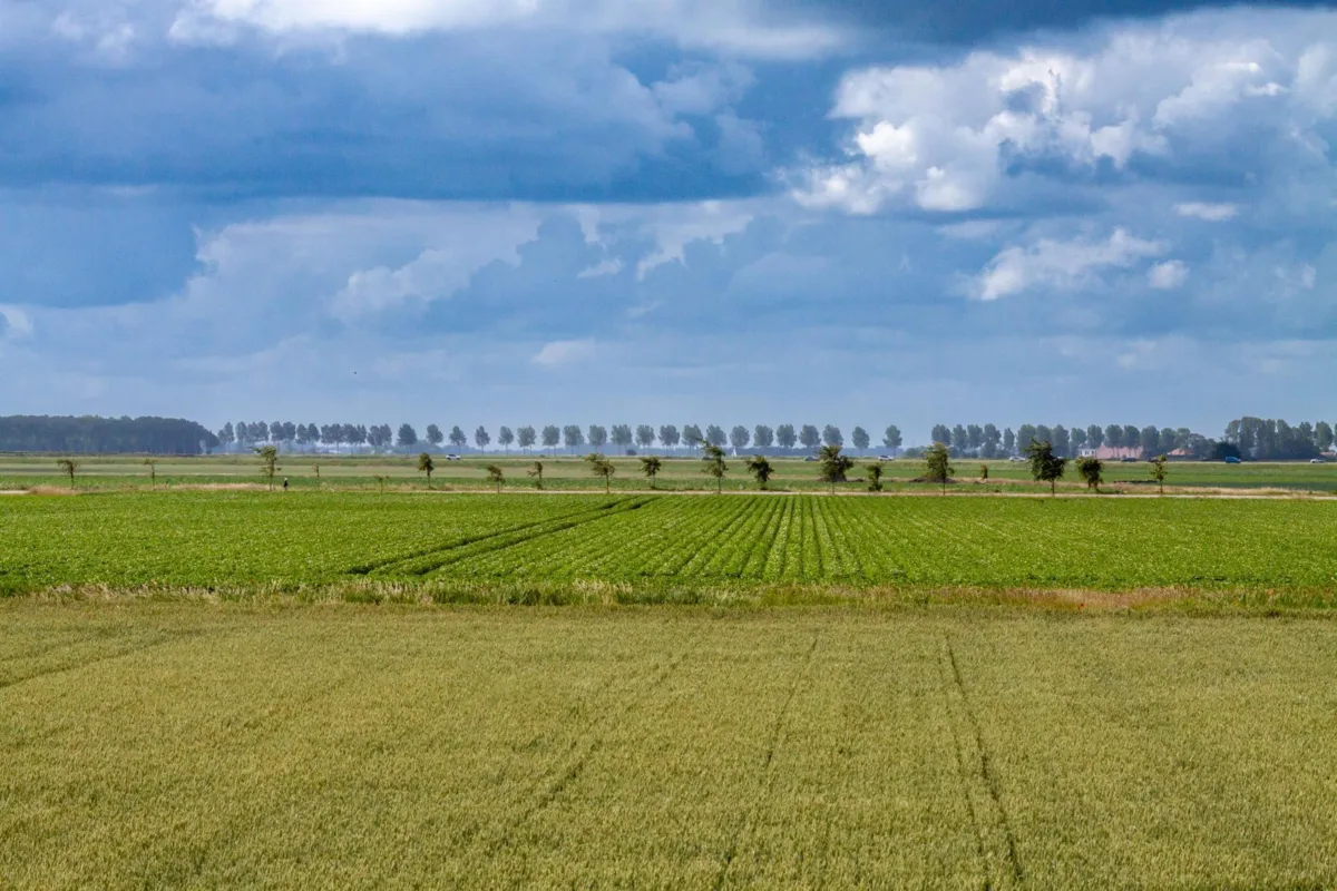 Wody Polskie rezygnują z budowy polderu w Szczurowej. Inwestycja zostanie wykreślona z dokumentów