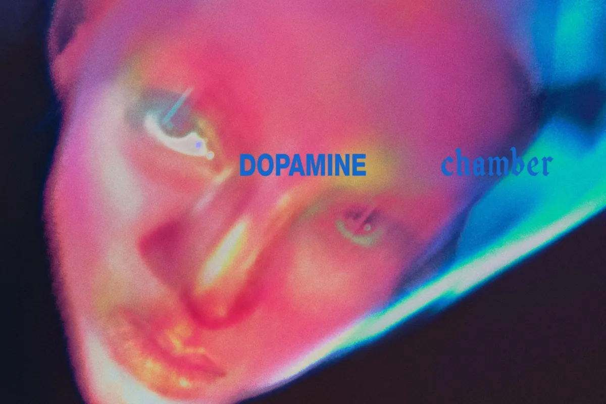 Fontaines D.C. Dopamine Chamber
