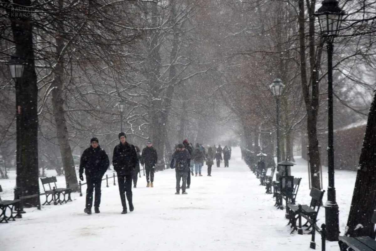 Synoptycy ostrzegają przed mrozem, od czwartku ocieplenie