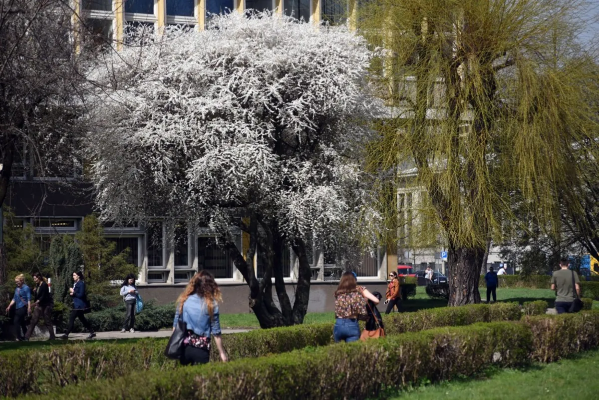 40 mln zł z UE na nowoczesne Centrum Innowacji i Badań Żywności