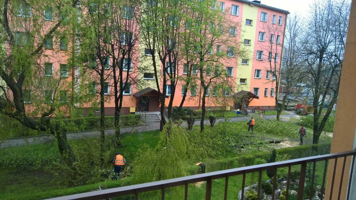 Drzewa zniknęły, winnego nie ma, mieszkańcy oburzeni