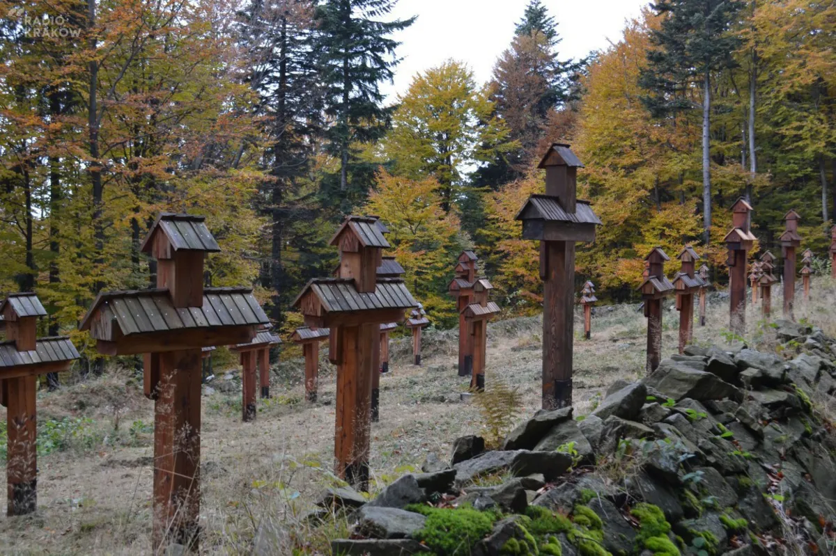 II Rajd Beskidzkie Zaduszki w obiektywie A.Piecucha.