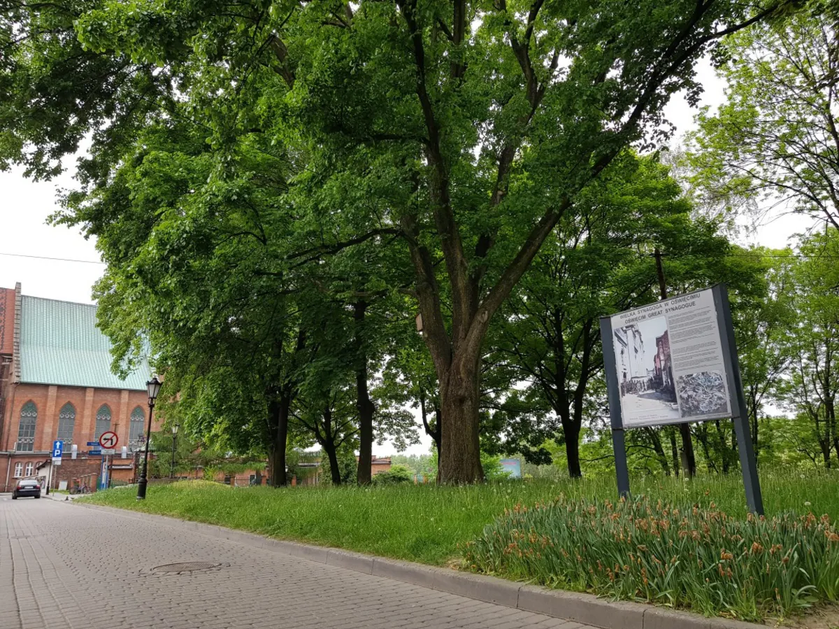 Oświęcim: park kieszonkowy w miejscu Wielkiej Synagogi