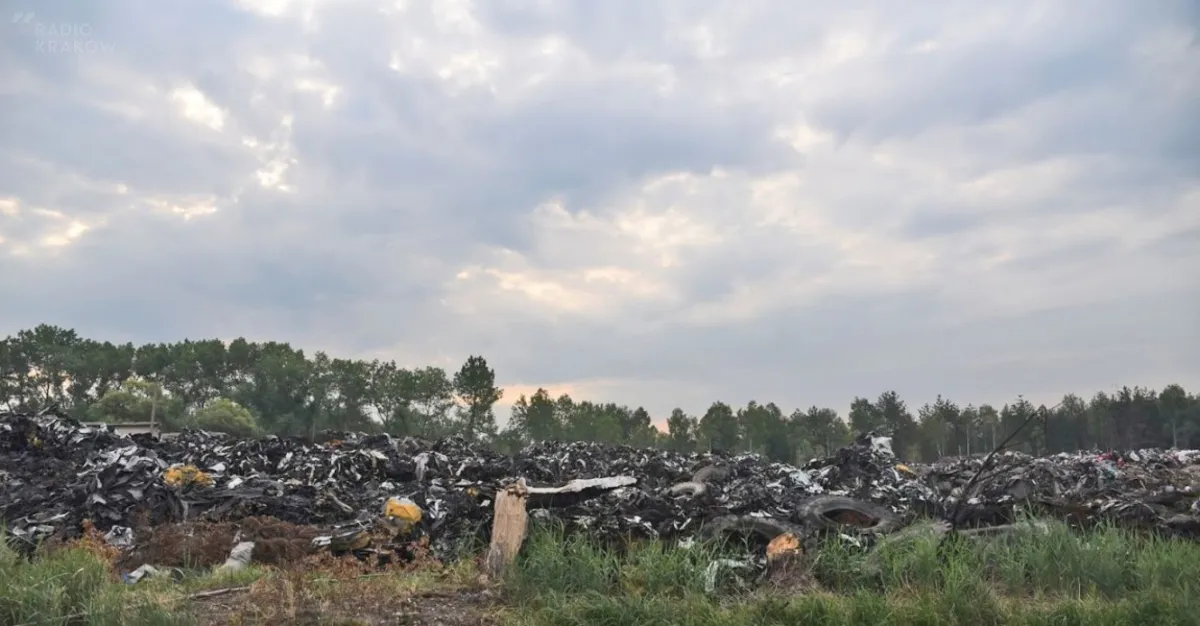 Uprawy z Trzebini zostały zanieczyszczone ołowiem