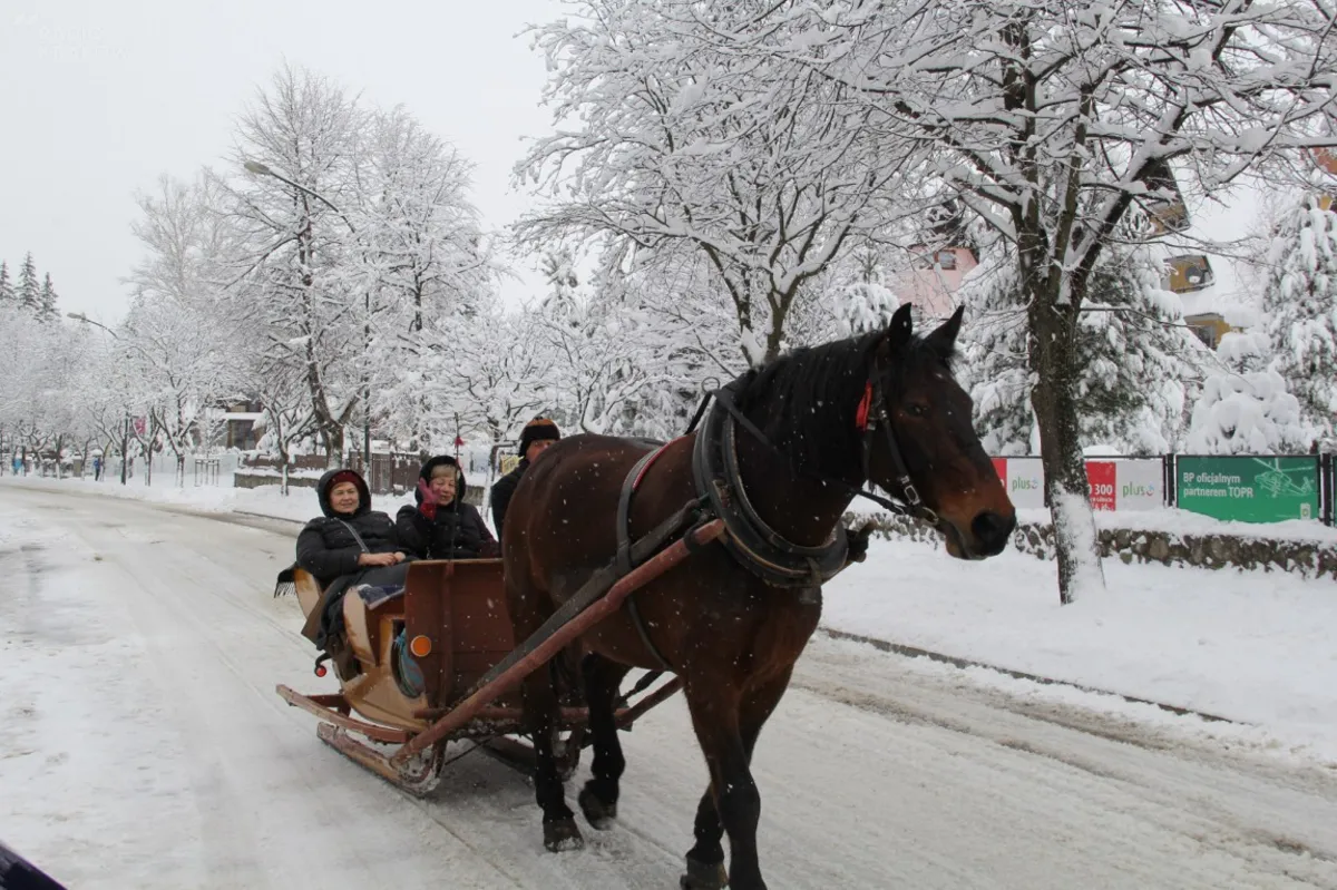 Zakopane przysypane białym puchem