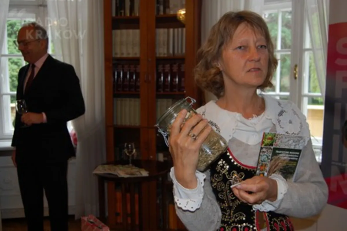 Tradycyjne nasiona zwyciężyły