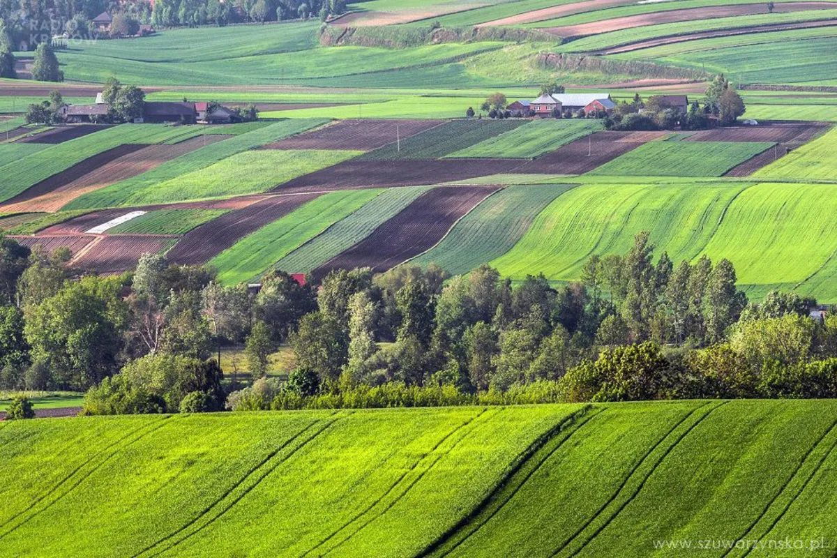 Małopolska Toskania w fotografii Agnieszki Szuwarzyńskiej