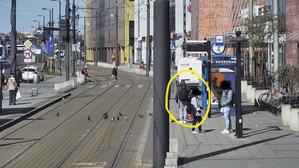 Znęcał się na nad gołębiem, później go zabił