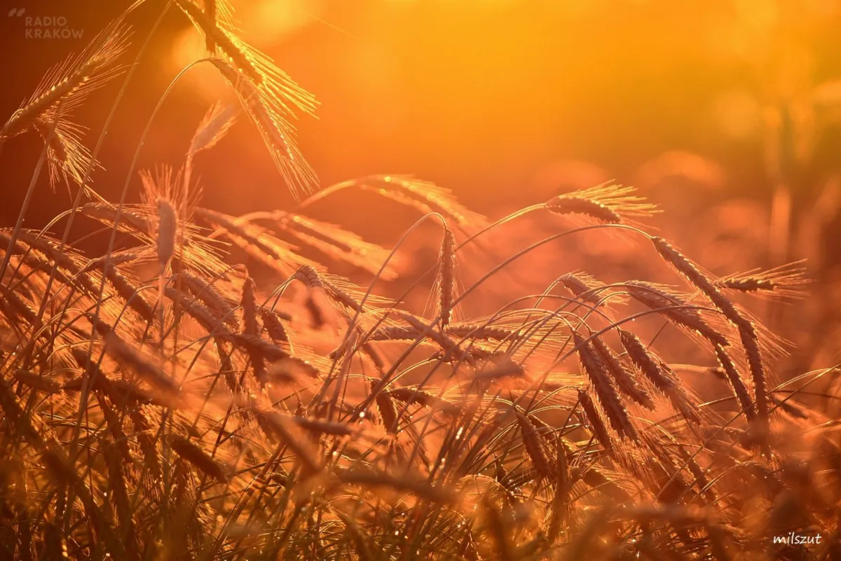 Zachód słońca w Lubniu