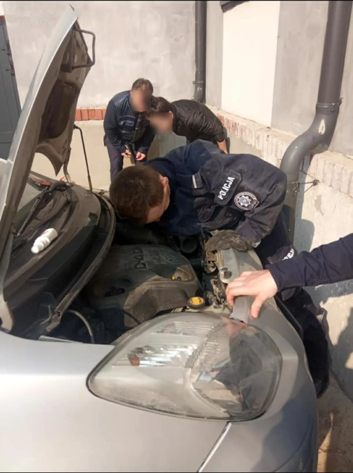 Kraków: Policjanci uratowali kotkę, która utknęła pod maską samochodu