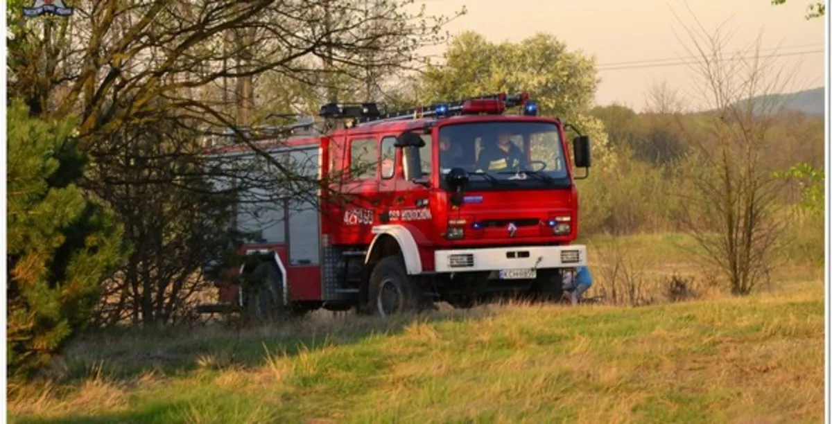 Silny wiatr w Małopolsce, strażacy usuwali połamane drzewa