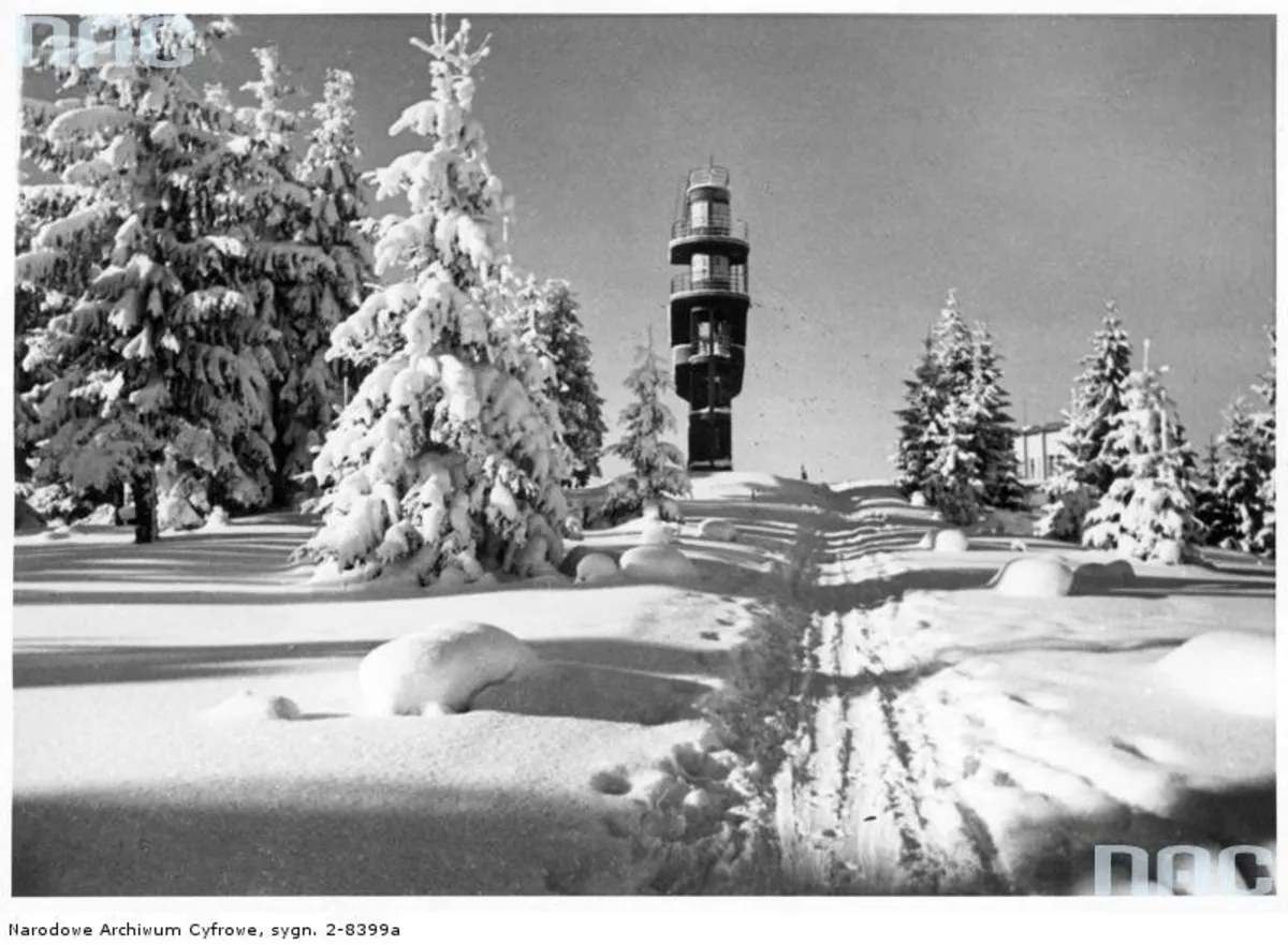 Tor saneczkowy w Krynicy. Lata 30. XX wieku. Fot. NAC