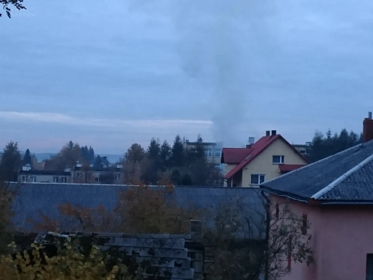 Od Was: "Musi być całkowity zakaz palenia trawy i liści w miejscowościach podkrakowskich"