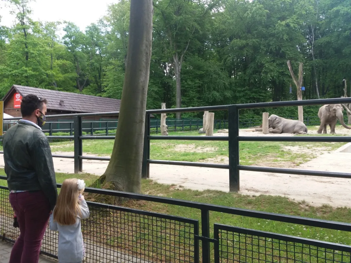 Krakowskie ZOO znów jest dostępne dla zwiedzających