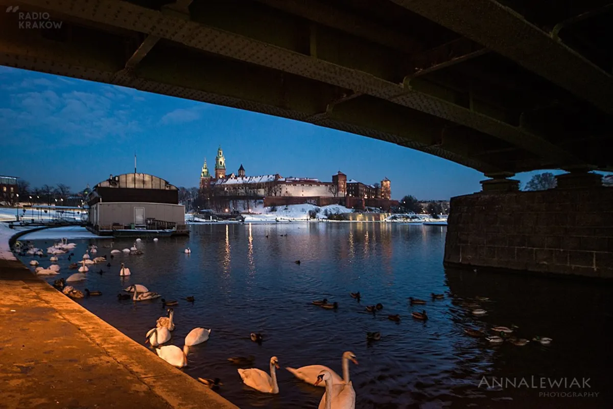 Kraków na fotografiach Anny Lewiak