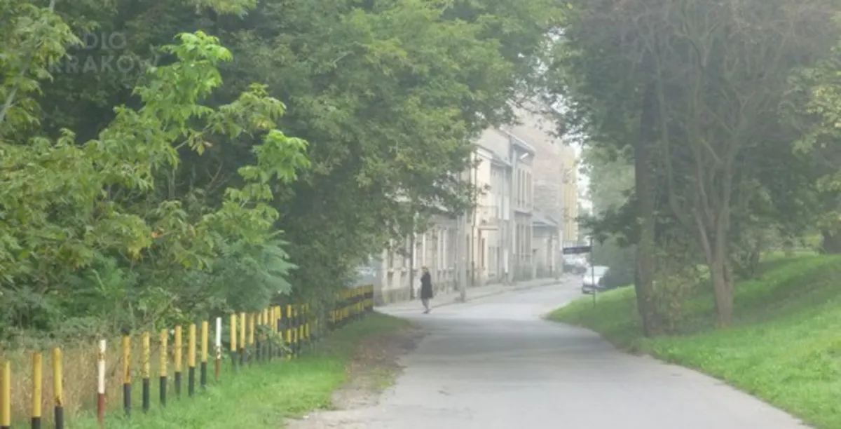 Piknik w obronie zieleni w krakowskim Podgórzu. <b>ZDJĘCIA</b>